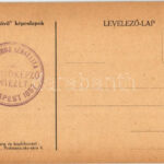 Rabbi Schreiber Benjámin 'Sevet Szófer'. Múlt és Jövő képeslapok, Judaika / Jewish rabbi. Hungarian Judaica + 'Budapest 1857 Országos Izraelita Tanítóképző Intézet' (EK) - Image 2