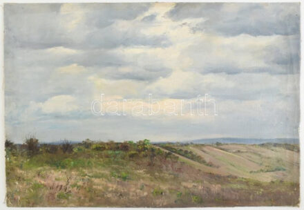 Sárdy Brutus (1892-1970): Tájkép. Olaj, vászon, vakráma nélkül, jelzés nélkül 42x59cm