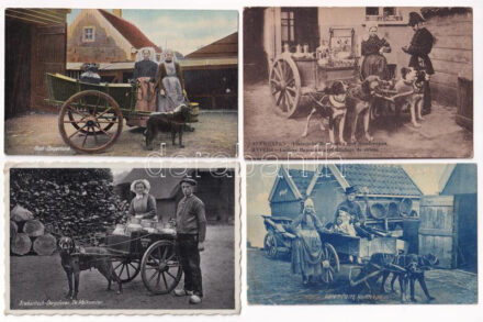4 db RÉGI folklór motívum képeslap: holland és belga kutyafogatok / 4 pre-1945 folklore motive postcards: Dutch and Belgian dog-drawn carts