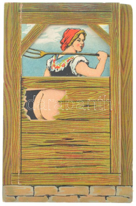 Parasztlány feneke? Kinyitható humoros képeslap malacokkal / Bottom of the peasant girl? Humorous folding postcard with pigs. L.M.M. 670. litho (Rb)