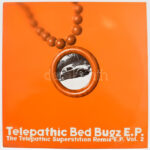 Steve Bug - Telepathic Bed Bugz E.P., Vinyl, 12', EP Németország (VG)