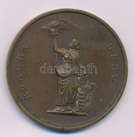 1931. 'Borúra derű (Jedlik Ányos-díj) bronz érdemérem hátoldalán ' A Magyar Tudományos Akadémia Hunyady Sándornak (drámaírónak) 1931.' gravírozással (45mm) T:XF patina