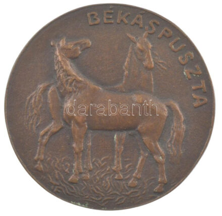 DN 'Békáspuszta / Boly' bronz emlékplakett (80mm) T:XF kis patina