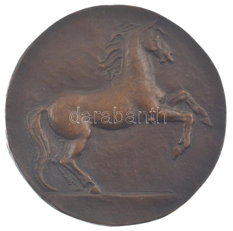 DN lovat ábrázoló bronz plakett hátoldalán parafa rátéttel (97mm) T:XF