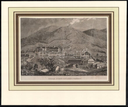 Cca. 1850-60. Szejke fürdő Udvarhelyszéken, rotációs fametszet. 15x21 cm