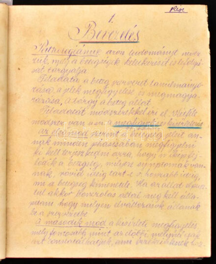 1897 Dr. Rátz [István]: Pathológia. Előadó: - -. Hozzákötve: Parasithológia. Előadó - - . Jegyzi: Dr. Balogh István állatorvostan hallgató. Stencilezéssel sokszorosított főiskolai orvosi jegyzet, benne bejelölésekkel. Korabeli