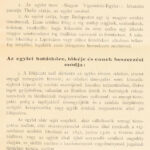 1891 A Magyar Vígszínház Egylet alapszabályai 8 p - Image 2