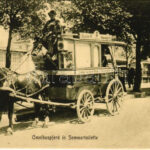 Berlin, Berliner Typen: Omnibuspferd in Sommertoilette / omnibus horse in summer costume
