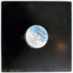 Barbara Douglas - Shine. Vinyl, 12', 33 1/3 RPM, Strictly Rhythm, Egyesült Államok, 1995. VG