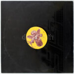 Perplexer - Love Is In The Air. Vinyl, 12' Urban, Németország, 1995. VG