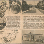 cca 1930 Érd-parkváros parcellázásának ismertetése, kihajtható, képekkel illusztrált prospektus - Image 2
