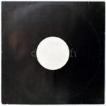 Tom Wilson - Techno Cat (Remix). Vinyl, 12', 45 RPM, 33 1/3 RPM, ZYX Music, Németország, 1995. VG, sérült borítóban. - Image 2
