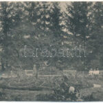 Szászrégen, Reghin; Sétatér i részlet / Teil des Stadtparkes / park (vágott / cut)