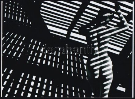 cca 1983 Zebracsíkos volt a divat, szolidan erotikus felvétel, 1 db modern fotónagyítás, 15x21 cm