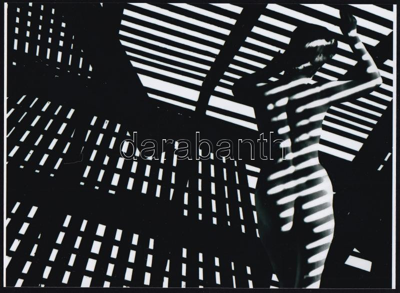 cca 1983 Zebracsíkos volt a divat, szolidan erotikus felvétel, 1 db modern fotónagyítás, 15x21 cm