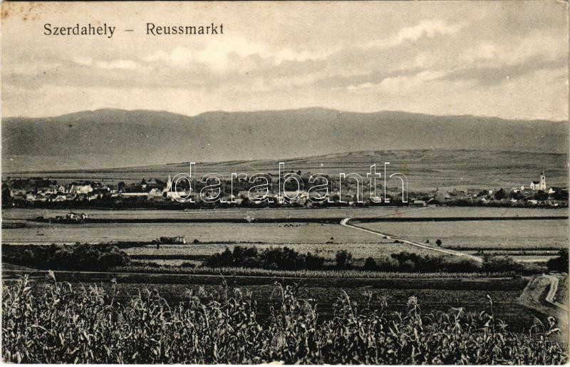 1911 Szerdahely, Miercurea Sibiului, Merkurea, Reussmarkt; látkép / general view (fl)