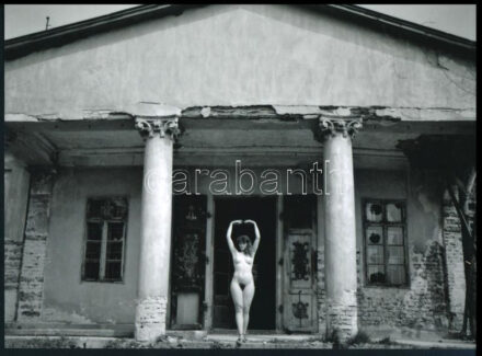 cca 1987 Menesdorfer Lajos (1941-2005) budapesti fotóművész alkotása modern nagyításon, jelzés nélkül (Örökség), 15x21 cm