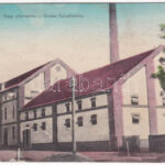 Újpécs, Új-Pécs, Peciu Nou; Nagy gőzmalom / Grosse Damofmühle / mill (EK) + 'MÓDOS-TEMESVÁR 250. SZ.' mozgóposta