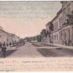 1905 Nagykároly, Carei; Megyeháza, Kölcsey utca. Csókás László kiadása / county hall, street