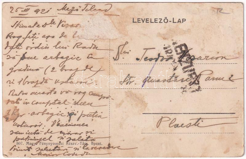 1921 Mezőtelegd, Tileagd; Telegdy kastély / castle (Rb) - Image 2