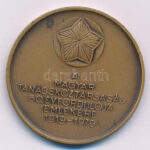 1979. 'A Magyar Tanácsköztársaság 60. évfordulója emlékére 1919-1979' bronz emlékérem (42,5mm) T:AU