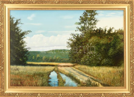 F. Szabó János (1958-): Eső után. Olaj, farost. Jelzett. Dekoratív fakeretben. 40x60 cm