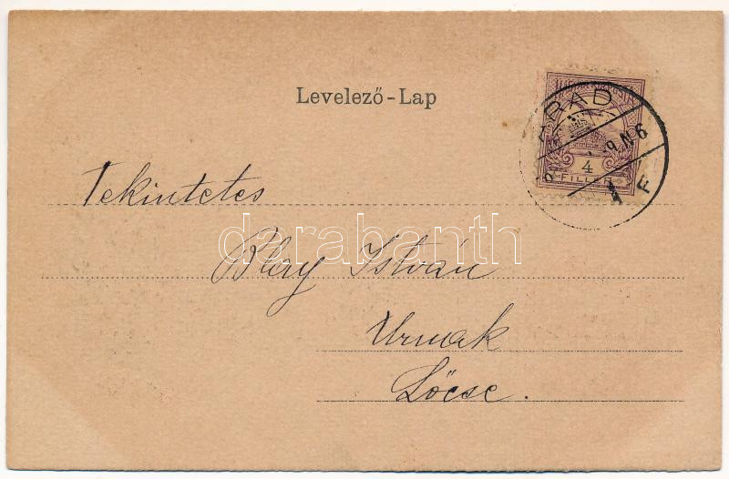 Arad. Szecessziós litho keret címerrel / Art Nouveau litho coat of arms - Image 2