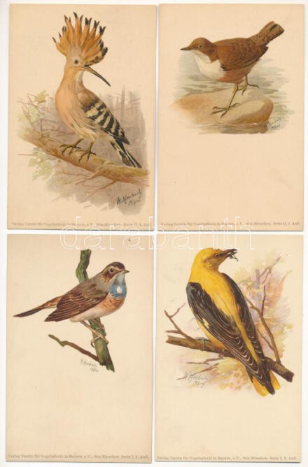 8 db RÉGI állat motívum képeslap: madarak (litho művészlapok W. Heubach szignóval) és a Magyar Kir. Ornitológiai Központ egy lapja / 8 pre-1945 animal motive postcards: birds (litho art postcards signed by W. Heubach) and one card from