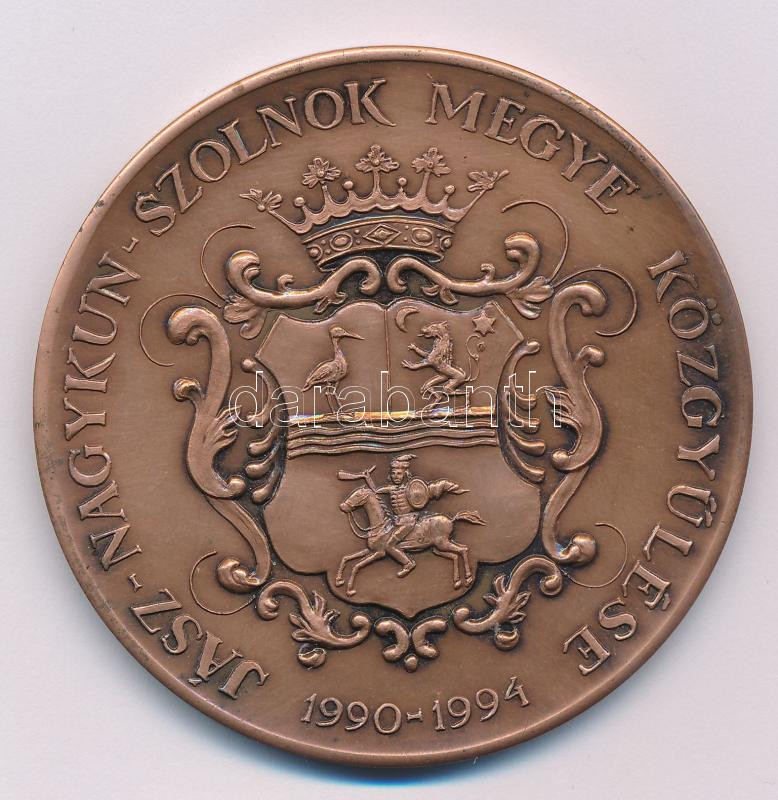 Győrfi Sándor (1951-) DN 'Jász-Nagykun-Szolnok-Megye 1876' bronz plakett, előoldalon a megye címerével, hátoldalán a megyeszékházzal (60mm) T:UNC,AU