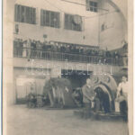 1924 Szászfenes, Floresti, Fenes; Hidrocentrala / Vízerőmű, belső munkásokkal / hydroelectric power plant, interior with workers. photo (EK)