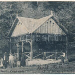 1912 Felsővisó, Felső-Visó, Viseu de Sus; Zsófia-forrás / spa, spring source (EB)