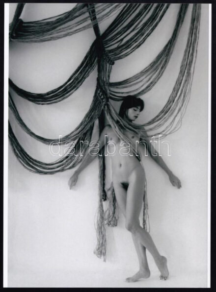 cca 1989 Faligubanc fogságában, Menesdorfer Lajos (1941-2005) budapesti fotóművész hagyatékából jelzés nélküli modern nagyítás, 21x15 cm