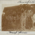 1916 Buziásfürdő, Baile Buzias; József forrás / mineral water spring pavilion. photo