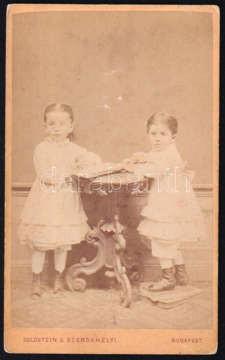 cca 1870 Két gyermek műtermi portréja, keményhátú fotó Goldstein és Szerdahelyi műterméből, 10,5×6,5 cm