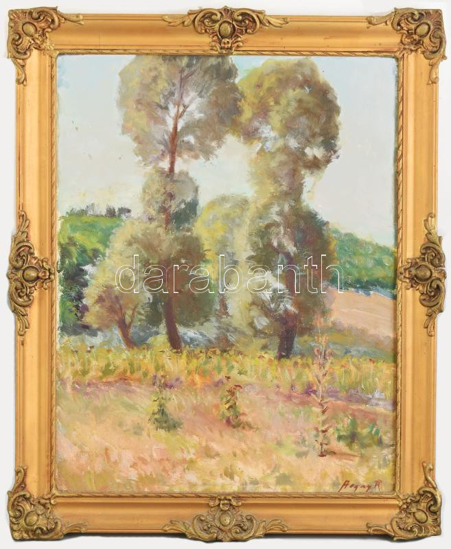 Olvashatatlan jelzéssel: Fák a mezőn. Olaj, vászon, Dekoratív keretben. 45x35cm