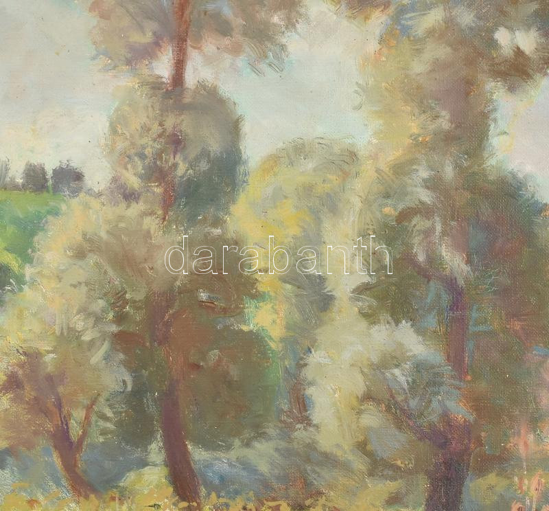 Olvashatatlan jelzéssel: Fák a mezőn. Olaj, vászon, Dekoratív keretben. 45x35cm - Image 3