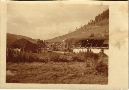1917 Carlibaba, Kirlibaba, Radnalajosfalva (Bukovina, Bucovina); Lajosfalva zerschossenes Bauerhaus / WWI destroyes farm houses. photo (cut) (12,8 x 9 cm)