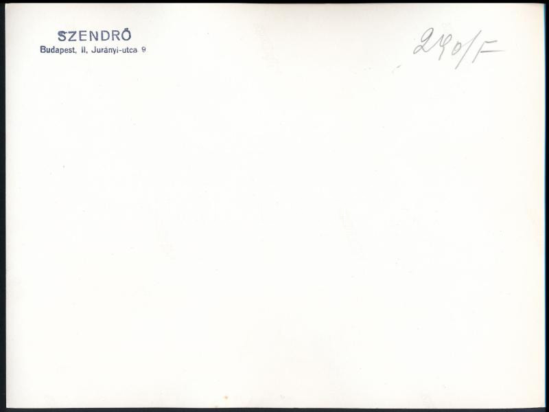 cca 1930-1940 Szent Jobb körmenet, Budai Vár, Tárnok utca, Szendrő István pecséttel jelzett fotója, 17,5×23 cm - Image 2