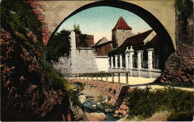 Brassó, Kronstadt, Brasov; Graft részlet / Graft-Partie / Dupa zidurile de jos (EK)