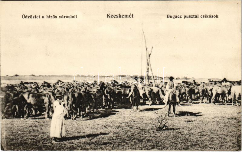 Kecskemét, Bugac pusztai csikósok, magyar folklór. Fekete Gyula kiadása