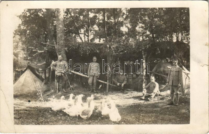 Erdőben álcázott sátortábor, katonák és a menázsi szárnyasok / WWI Austro-Hungarian K.u.K. military camp camouflaged in the forest, soldiers and the food supply poultry. photo + 'K.u.K. Hus. Rgmt. Erzherzog Franz Salvator No. 15. III.