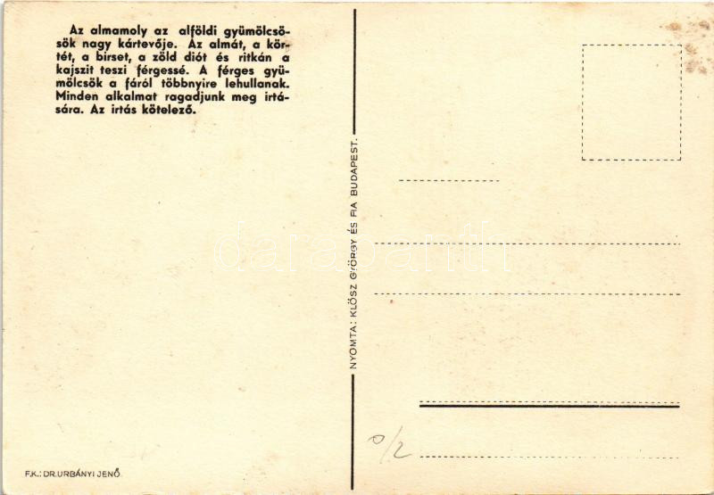 Az almamoly almatermésünk háromnegyedét teszi értéktelenné. Ennek a kárnak értékéből évente egy falut lehetne felépíteni. Mezőgazdasági propaganda / Hungarian agricultural propaganda, apple moth extermination (EK) - Image 2