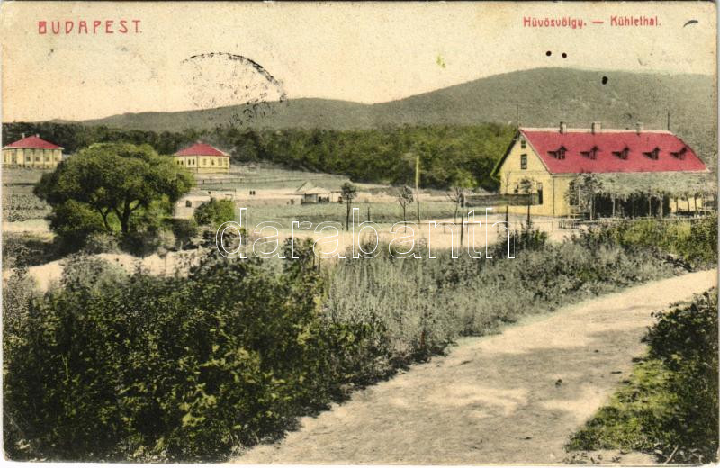 1906 Budapest II. Hűvösvölgy. S.L.B. No. 160. (EK)