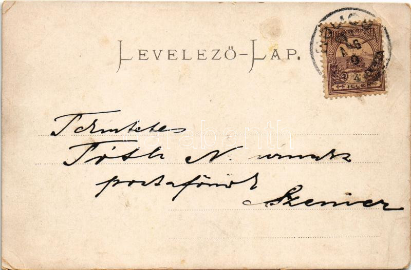 1900 Szakolca, Skalica; látkép, utca / general view, street view (EM) - Image 2