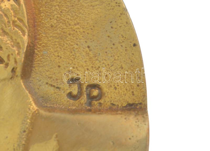 Jecza Péter (1939-2009) 2000. Gróf Klebelsberg Kunó balra néző portréját ábrázoló egyoldalas, öntött bronz plakett, hátoldalon ismertető matricával (~101-102mm) T:AU / Hungary 2000. Portrait of Count Kunó Klebelsberg looking to the - Image 2