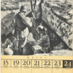 1942 Honvéd naptár, számos illusztrációval, II. világháborús képpel, spirálkötésben, borító kissé sérült - Image 2
