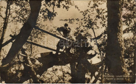 Figyelő a fatetőn. Hertelendy László kapitány. Hadifénykép Kiállítás / WWI Austro-Hungarian K.u.K. military observers on the treetops (EK)