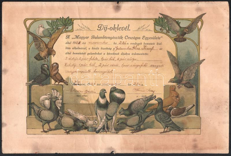 1921 Magyar Galambtenyésztők Országos Egyesülete. Litho grafikus oklevél 31x20 cm