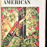 1967 A Scientific American c. magazin II. féléve bekötve.