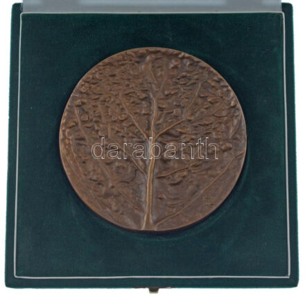 1995. 'Az 50 éves Szabad Föld Jubileumára' bronz plakett, eredeti tokban. Szign.: CK (?) (95mm) T:AU